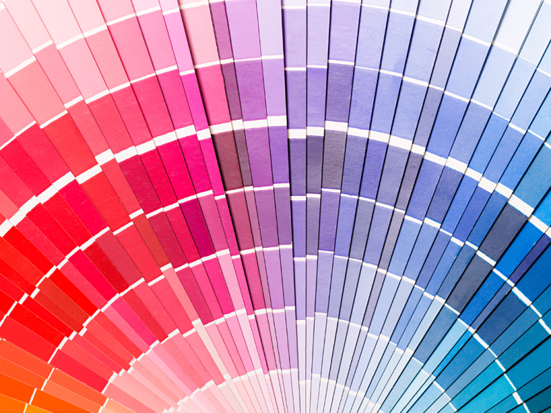 A Quick Guide to Choosing the Perfect Color Scheme for your Brand