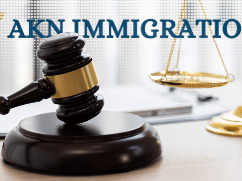 From Navigating the US Immigration System to Leading the Way: The Inspiring Story of Aisha Nanyanzi – an Immigration&nbsp;Lawyer